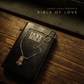 Album artwork for BIBLE OF LOVE