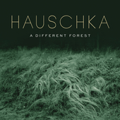 Album artwork for A DIFFERENT FOREST (LP)