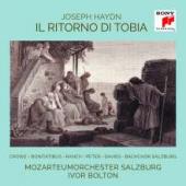 Album artwork for Joseph Haydn: Il Ritorno di Tobia