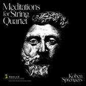 Album artwork for Meditations for String Quartet