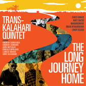 Album artwork for The Long Journey Home