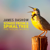 Album artwork for Dashow, J.: Songs from a Spiral Tree