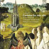 Album artwork for BACH. Cantatas for Alto. Scholl/Collegium Vocale/H