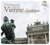 Album artwork for Promenade dans le Vienne Classique