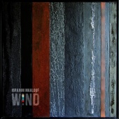 Album artwork for Ibrahim Maalouf: Wind