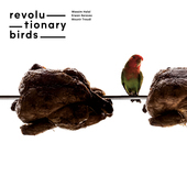 Album artwork for Revolutionary Birds - Revolutionary Birds 