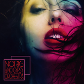 Album artwork for NORIG & NO GYPSY ORCHESTRA