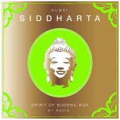 Album artwork for Siddharta Spirit of Buddha-Bar Volume 6 - by Ravin
