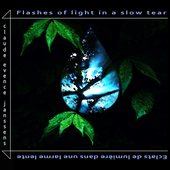 Album artwork for FLASHES OF LIGHT IN A SLOW TEA