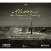 Album artwork for Matteis: Ayres for the Violin (Beyer)