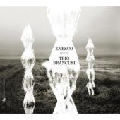 Album artwork for Georges Enesco: Trios