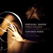 Album artwork for Gesualdo - Maione: Tribulationem
