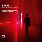 Album artwork for J.S. Bach: Masses, BWV 234 & 235