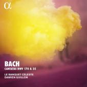 Album artwork for Bach: Cantatas, BWV 170 & 35 / Guillon