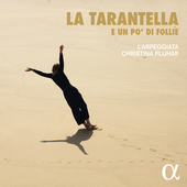 Album artwork for tarantella e un po'di follie