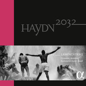 Album artwork for V6: HAYDN2032 (LP)