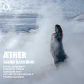 Album artwork for Æther