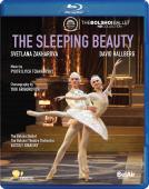 Album artwork for Tchaikovsky: Sleeping Beauty