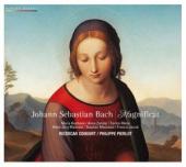 Album artwork for Bach: Magnificat / Ricercar Consort