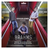 Album artwork for BRAHMS. Clarinet Sonatas. Severe/Julien-Laferriere