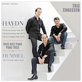 Album artwork for HAYDN. Piano Trios. Trio Chausson