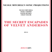 Album artwork for Nicole Mitchell's Sonic Projections - The Secret E