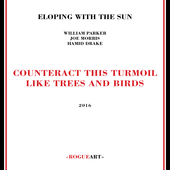 Album artwork for Eloping With The Sun - Counteract This Turmoil Lik