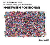 Album artwork for Joel Futterman Trio - In-between Position(s) 