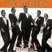 Album artwork for Danleers - One Summer Night 