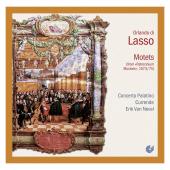 Album artwork for Orlando di Lasso: Motets / van Nevel