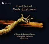 Album artwork for Buxtehude: Membra Jesu Nostri / Haller
