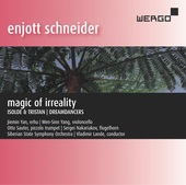 Album artwork for Schneider: Magic of Irreality