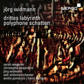 Album artwork for J. Widmann: Drittes Labyrinth - Polyphone Schatten