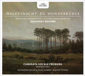 Album artwork for Brahms: Secular Choral Works