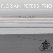 Album artwork for Florian Peters Trio - 11 Waves 