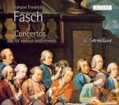 Album artwork for Fasch: Concertos for various instruments