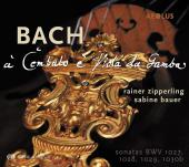 Album artwork for J.S. Bach: Sonatas for Viola da Gamba & Harpsichor