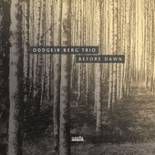 Album artwork for Oddgeir Berg Trio - Before Dawn 