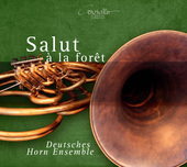 Album artwork for SALUT A LA FORET