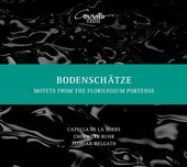 Album artwork for BODENSCHATZE