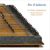 Album artwork for PER IL SALTERIO