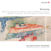 Album artwork for Diversity