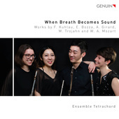 Album artwork for When Breath Becomes Sound