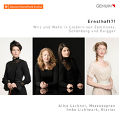 Album artwork for Ernsthaft?! - Witz und Wahn in Liedern von Zemlink