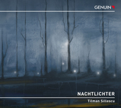 Album artwork for Sillescu: Nachtlichter