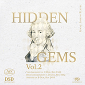 Album artwork for V2: HIDDEN GEMS