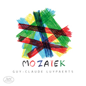 Album artwork for Mozaïek