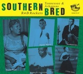 Album artwork for Southern Bred 21 Tennessee R&B Rockers: On The Flo