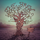 Album artwork for Brew - Shake The Tree 
