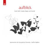 Album artwork for AUFBLICK